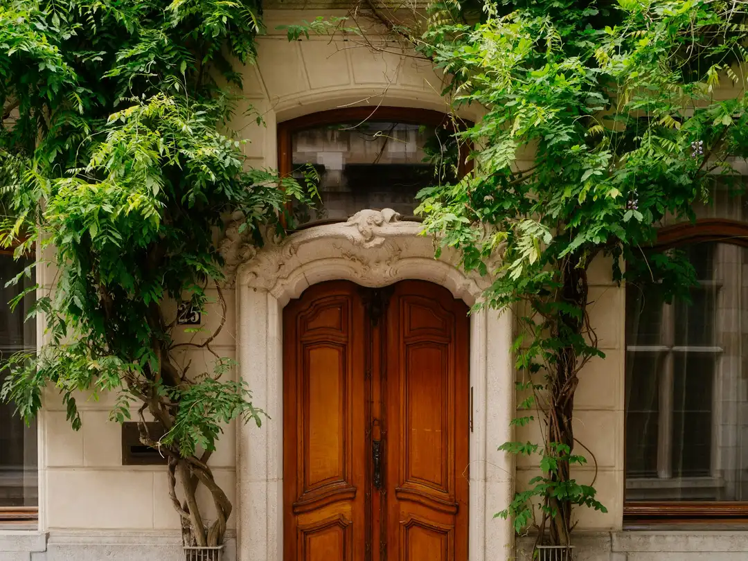 Porte d’entrée à deux vantaux en bois massif mouluré, encadrement en pierre et glycine